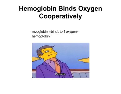Quaternary structure of hemoglobin