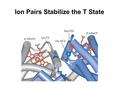 Hemoglobin T to R state transition