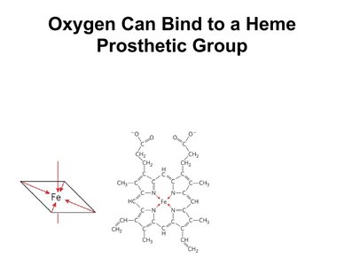 Heme group chemical structure
