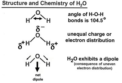Structure and chemistry of H2O