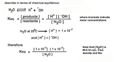 Water ionization equilibrium