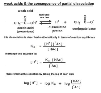 Weak acid dissociation and equilibrium