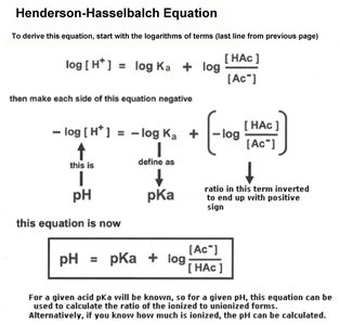 Henderson-Hasselbalch equation