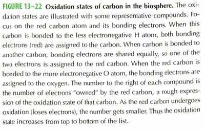 Oxidation states of carbon in the biosphere