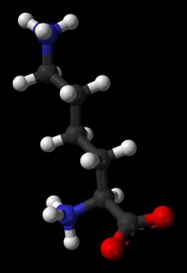 3D structure of lysine