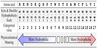 Amino Acid hydrophobicity scale
