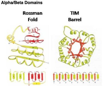 Virus assembly process