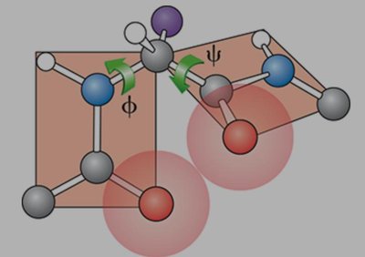 Polypeptide flexibility diagram