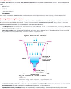 Diagram of protein folding energy landscape