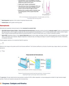 Diagram of SDS-PAGE electrophoresis