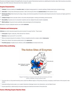 Diagram of enzyme active site