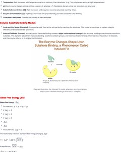Diagram of induced fit model
