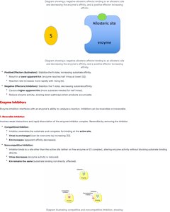 Diagram of competitive and noncompetitive inhibition