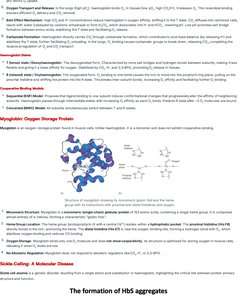 Diagram showing hydrophobic interactions in water