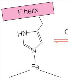 Transition between T and R states in hemoglobin