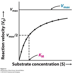 Michaelis-Menten plot showing Vmax and KM