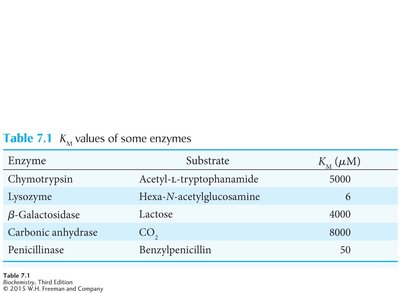Table of KM values for various enzymes