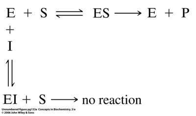 Michaelis-Menten plot showing effect of competitive inhibitor