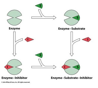 Michaelis-Menten plot for noncompetitive inhibition