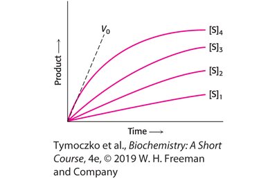 Graph showing initial velocity determination from product vs. time curves at different substrate concentrations
