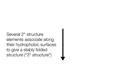 Diagram of tertiary structure formation