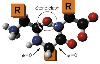 Steric clash in peptide backbone
