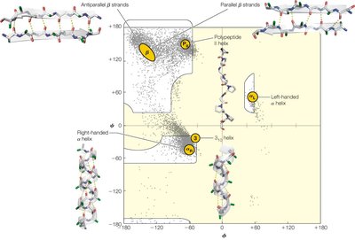 Ramachandran plot with secondary structure regions