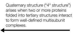 Diagram of quaternary structure formation
