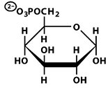 Structure of glucose-6-phosphate