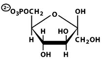 Structure of fructose-6-phosphate