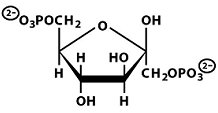 Structure of fructose-1,6-bisphosphate