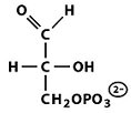 Structure of dihydroxyacetone phosphate