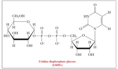 Structure of UDP-glucose