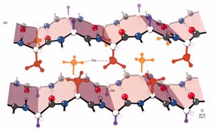 Silk fibroin β-sheet structure with interdigitating alanine residues