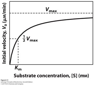 Michaelis-Menten plot: initial velocity vs substrate concentration