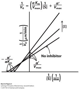 Mixed inhibition mechanism
