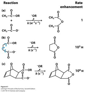 Proximity and orientation effects in enzyme catalysis
