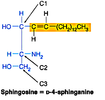 Structure of sphingosine