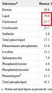 Table of CNS myelin composition