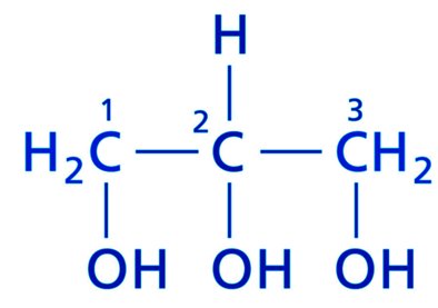 Structure of glycerol molecule