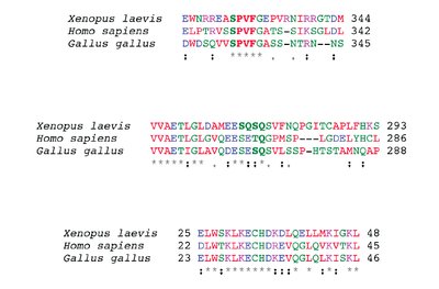 Protein sequence polymorphisms and consensus motifs