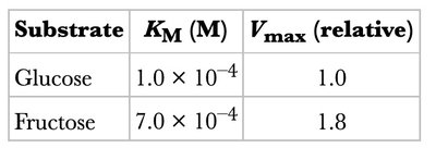 Michaelis-Menten plot showing Km and Vmax
