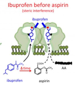 ATCase activity with CTP and ATP effectors