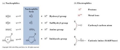 Table of nucleophiles and electrophiles in enzyme catalysis
