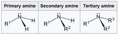 Special amino acids and their modifications