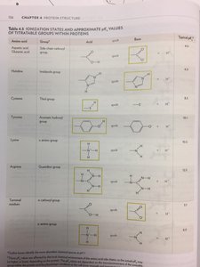 Table of ionizable amino acid sidechains