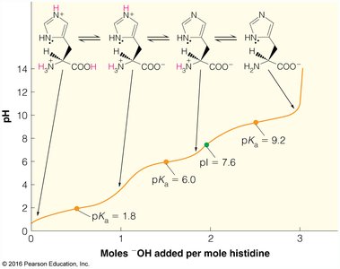 Titration curve of histidine