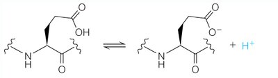 Environmental effects on pKa