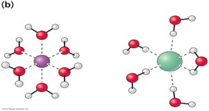 Hydration of Na+ and Cl- ions