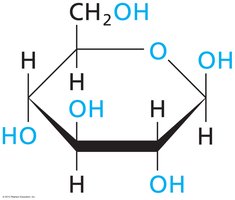 Structure of glucose